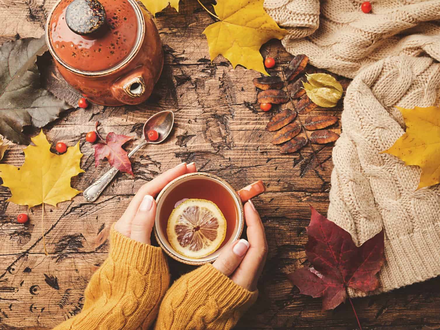 tisane-autunnali-detox